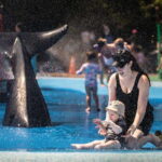 Toronto: Toronto Zoo Entry Ticket - Activities & Attractions Beyond Animal Viewing