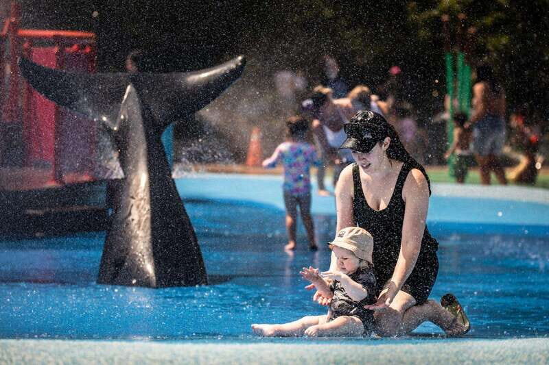 Toronto: Toronto Zoo Entry Ticket - Activities & Attractions Beyond Animal Viewing