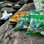 Torquay: The Setting Sun & Wild Food Experience - Paddling & Sightseeing