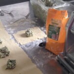 TORTELLI Masterclass with Chef - Private Special Event! - Why This Experience Is a Must for Food Lovers