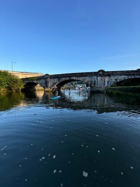 Totnes: Paddleboard adventure on the River Dart - Price and Value