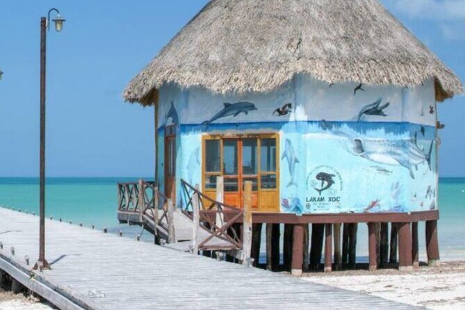 Tour 3 Islands in Holbox Premium Experience - What’s Included and What to Budget For