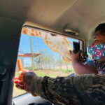 Tour "Bioparque" + Traslados + Tickets incluidos - What to Expect During Your Visit