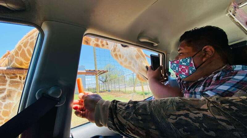 Tour "Bioparque" + Traslados + Tickets incluidos - What to Expect During Your Visit