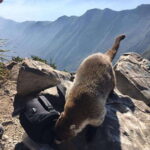 Tour "Cerro de la Silla" + Guía + Traslados - Who Will Love This Tour?