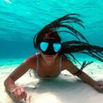 Tour Cozumel Snorkel Experience! Lunch & Transportation only from Cancun - The Experience for Different Travelers