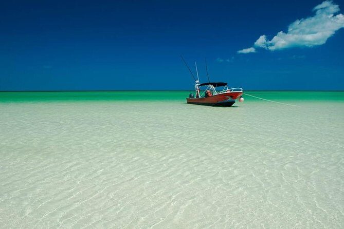 Tour Holbox at Pasion Island & Cenote Yalahau from Cancún - Authentic Experiences & Travelers’ Insights