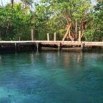 Tour Holbox Enjoy the nature only from Playa del Carmen - Practical Details & What to Expect