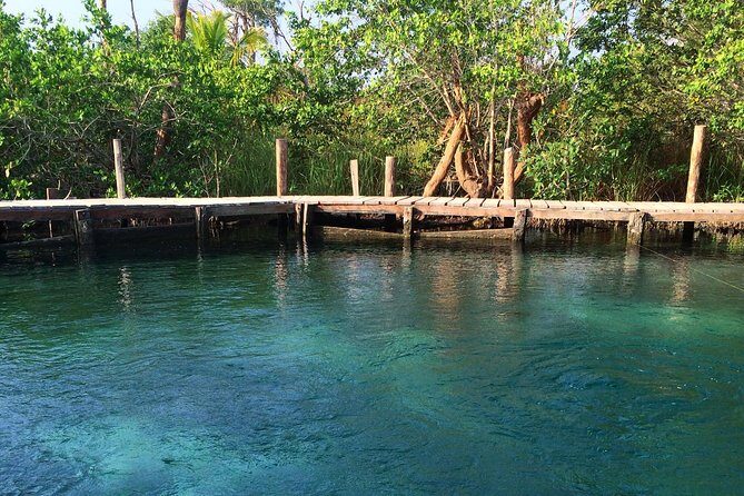 Tour Holbox Enjoy the nature only from Playa del Carmen - Practical Details & What to Expect