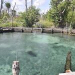 Tour Holbox - Magic Island! Round Transportation from Tulum - Who Should Consider This Tour?