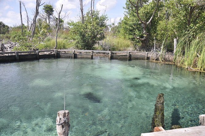 Tour Holbox - Magic Island! Round Transportation from Tulum - Who Should Consider This Tour?