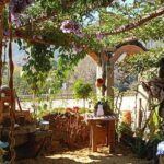 Tour in San Sebastian del Oeste - Why This Tour Offers Great Value