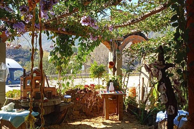 Tour in San Sebastian del Oeste - Why This Tour Offers Great Value