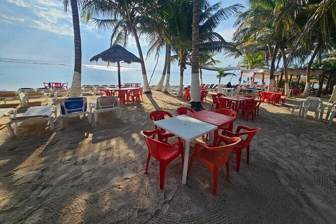 Tour in the Hacienda del Tequila - Practical Details and Tips