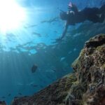 Tour islands Marietas Snorkeling and Nopalera Beach - Practical Details & Tips