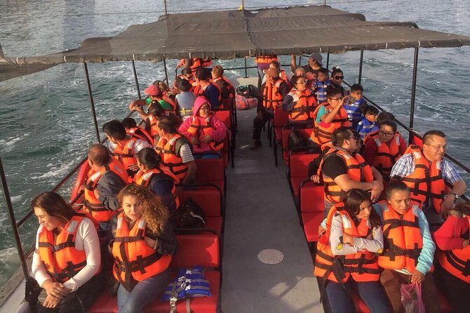 Tour la buffadora/pai pai park/four fours vineyard - Who Would Love This Tour?