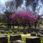 Tour of the archaeological site of Olympia by an Italian-Greek archaeologist - Why This Tour Works Well