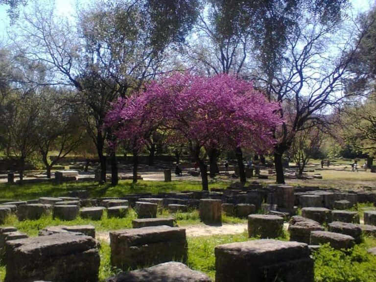 Tour of the archaeological site of Olympia by an Italian-Greek archaeologist - Why This Tour Works Well