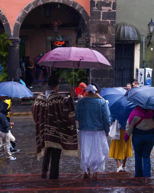 Tour Tequila Loreta Travel&Tour - The Panoramic Swing and Agave Fields