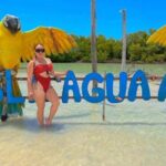 Tour to Agua Azul Island Departure from Merida to Yucatan - A Closer Look at the Agua Azul Island Tour