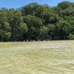 Tour to Celestún - The Practical Side: Transportation, Group Size, & Costs