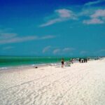 Tour to Celestun and see the flamingos - What the Reviews Reveal