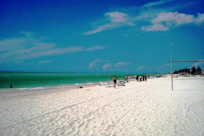 Tour to Celestun and see the flamingos - What the Reviews Reveal