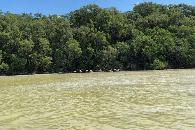 Tour to Celestún - The Practical Side: Transportation, Group Size, & Costs