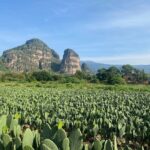 Tour to Discover Tlayacapan, the other side of Tepozteco - Who Is This Tour Best For?