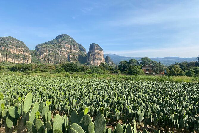 Tour to Discover Tlayacapan, the other side of Tepozteco - Who Is This Tour Best For?