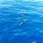 Tour to the islands of the La Maddalena Archipelago by sailing boat - The Daily Itinerary in Detail