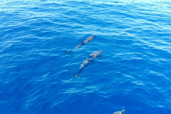 Tour to the islands of the La Maddalena Archipelago by sailing boat - The Daily Itinerary in Detail