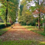 Tour to the Venetian Villas and the Brenta Riviera from Venice - The Itinerary: What You Can Expect