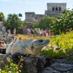 Tour tulum, coba, cenote, and playa del carmén 4x1 - What’s Included and Whats Not