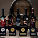 Tour & Wine Tasting San Miguel Vineyard / San Miguel Experience - Exploring the Itinerary in Detail