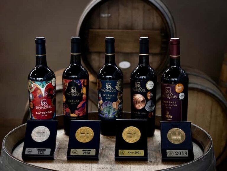 Tour & Wine Tasting San Miguel Vineyard / San Miguel Experience - Exploring the Itinerary in Detail