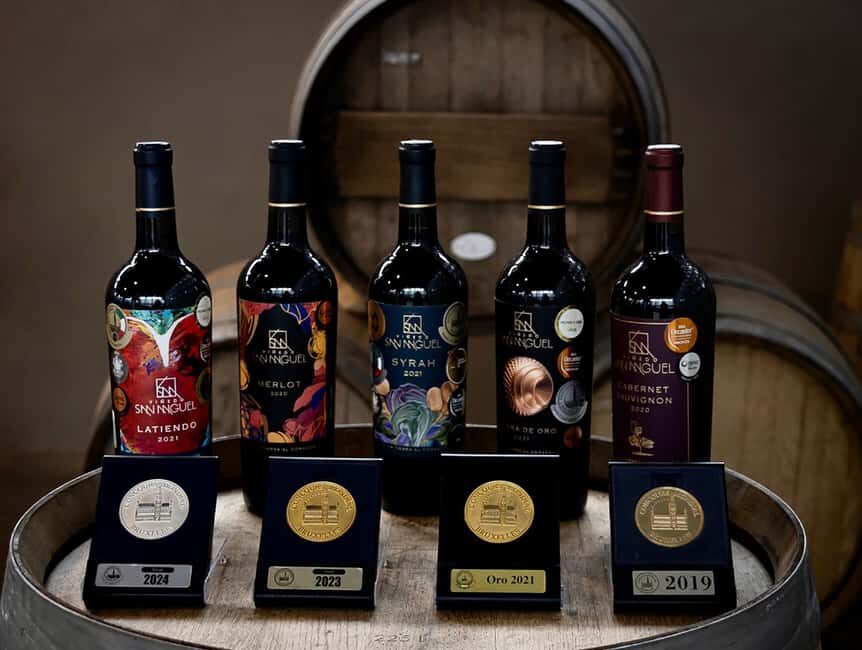 Tour & Wine Tasting San Miguel Vineyard / San Miguel Experience - Exploring the Itinerary in Detail