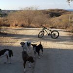 Towns and traditions Bike Tour in Colotepec - What’s Included and What to Consider