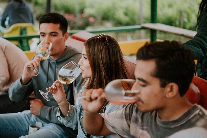 Tractor Pull Around Vineyards and Wine Tasting Tour - Practical Details and What You Should Know