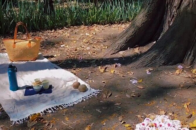 Traditional Chinese Tea Ceremony in the Heart of Mexico City - What to Expect from the Chinese Tea Ceremony