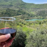 Traditional Cooking Class & Farm Experience in Roshnik - What to Expect from the Experience