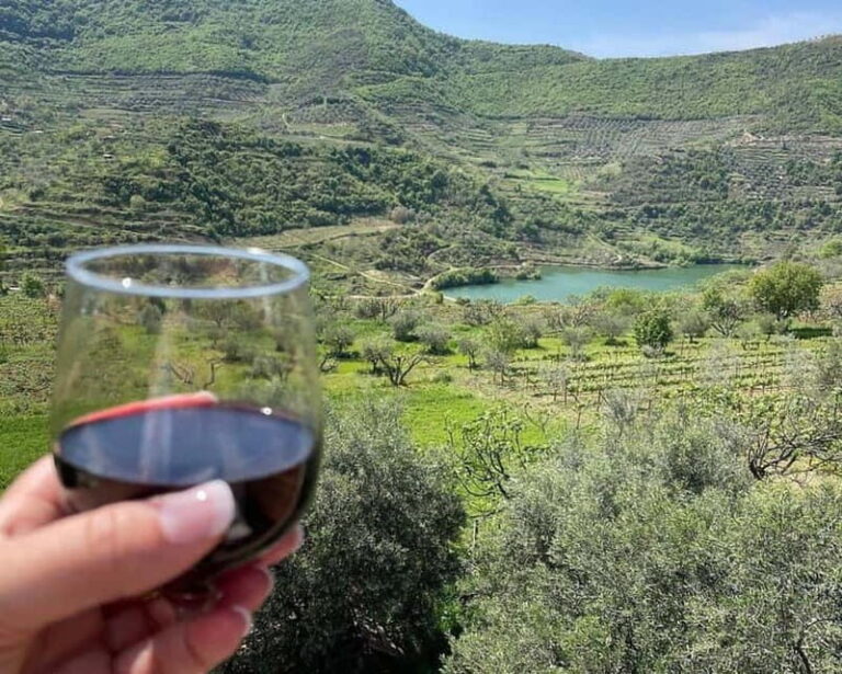 Traditional Cooking Class & Farm Experience in Roshnik - What to Expect from the Experience