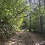 Trail Running Adventure - Exploring Bulgaria’s Natural Side: An In-Depth Look