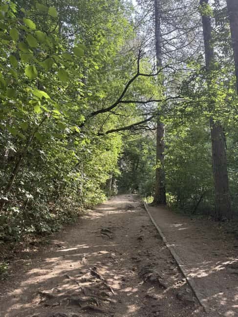 Trail Running Adventure - Exploring Bulgaria’s Natural Side: An In-Depth Look