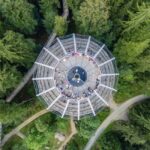 Treetop Walk Bavarian Forest: Discover the world of treetops - The Walkway Experience: Whats Included and What to Expect