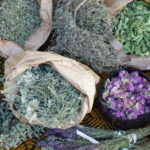 Troodos Villages and Kykkos Monastery from Paphos in Polish - What Makes This Tour Stand Out?