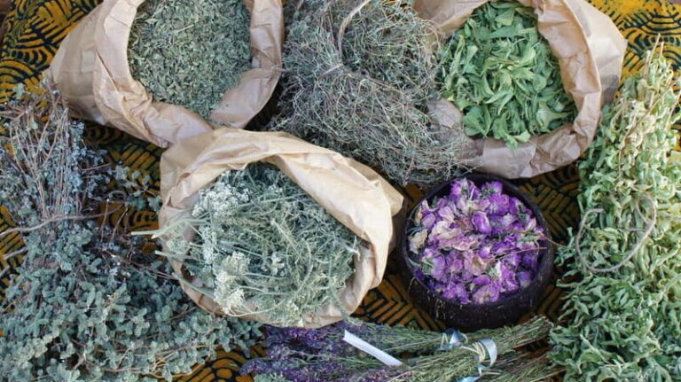 Troodos Villages and Kykkos Monastery from Paphos in Polish - What Makes This Tour Stand Out?