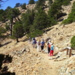 Troodos walking trip - Discovering Cyprus’s Highest and Most Scenic Trails