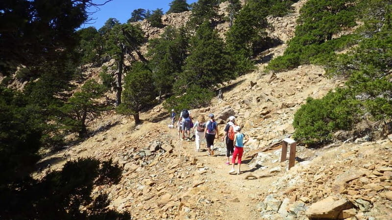Troodos walking trip - Discovering Cyprus’s Highest and Most Scenic Trails