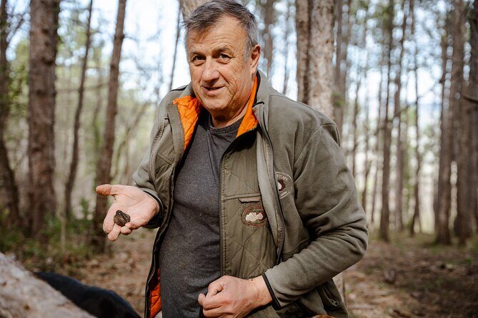 Truffle Hunting and 3-course Truffle Brunch in Motovun - Practical Details: What Travelers Need to Know